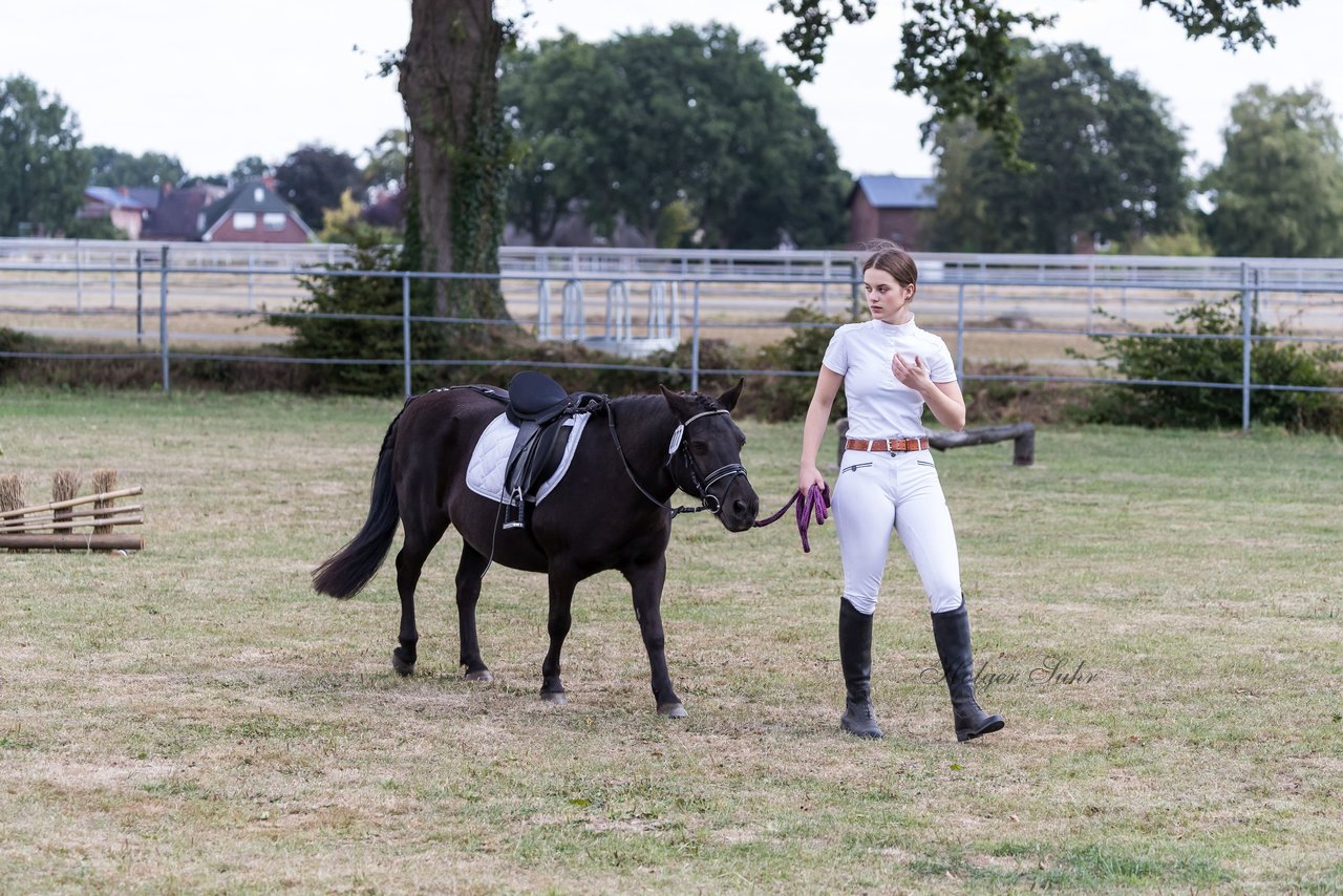 Bild 4 - Pony Akademie Turnier